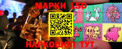 индика Бердск