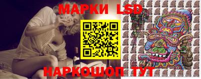 индика Бердск
