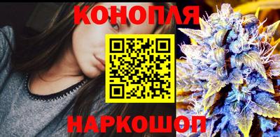 индика Бердск