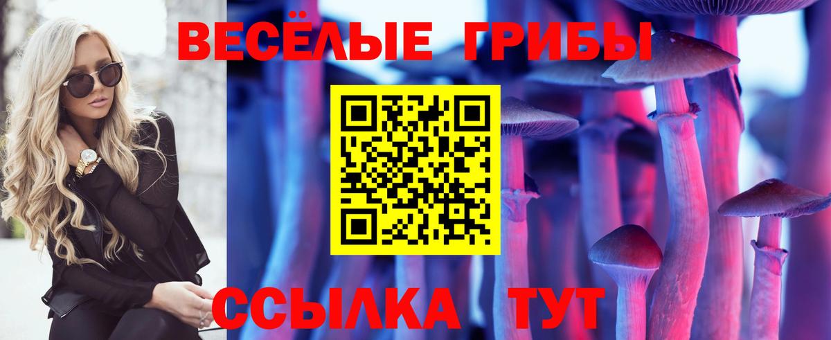 Псилоцибиновые грибы ЛСД  Вход с VPN  купить наркоту  Верхний Уфалей 